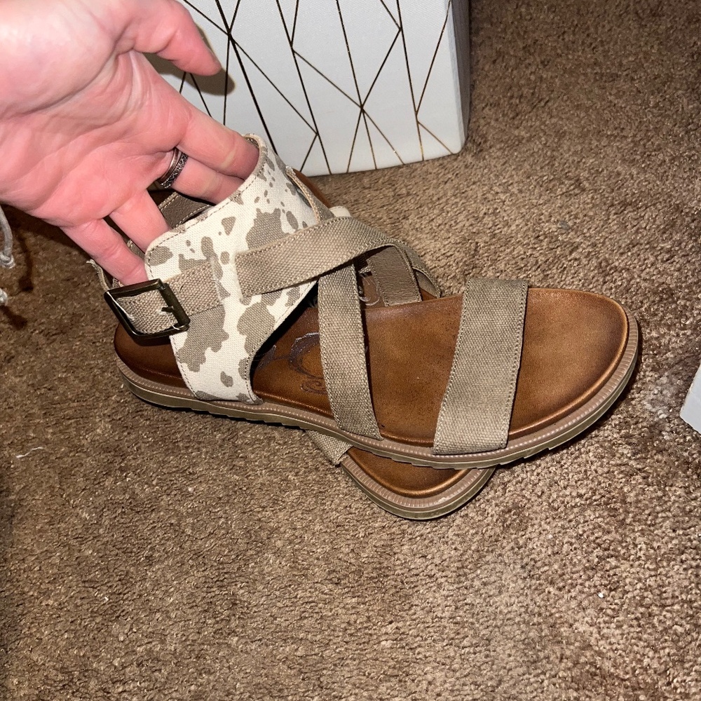 Women's Sandals in Brown and Cream
